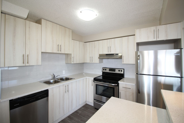 New elevators, new Management, renovated suites. Must see! in Long Term Rentals in Calgary - Image 2