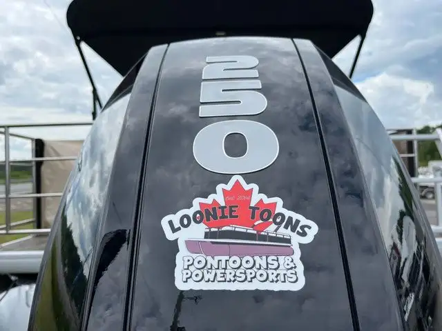 2022 Sweetwater SW 2286 Single Flip Lounge in Sport Touring in Sault Ste. Marie - Image 11