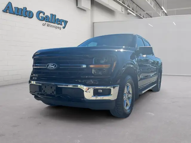 2025 Ford F-150 XLT, CLEAN CARFAX, 4X4, HTD STS/STEERING, CARPLA