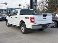 Double L Motors Ltd. FOR SALE: 2020 Ford F-150 XLT Crew Cab 4x4 – 5.0L V8 Power & Built Ford Tough!... (image 3)