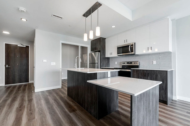 Stunning 1 Bedroom + Den Apartments  STEPS TO THE BOARDWALK in Long Term Rentals in Kitchener / Waterloo - Image 2