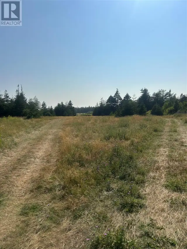 0 Beaver pond Road Road Roaches Line, Newfoundland & Labrador in Land for Sale in St. John's - Image 2