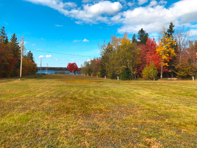 187 East Point Rd-Miramichi, NB E1N 3M5 in Land for Sale in Miramichi - Image 3