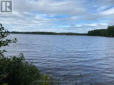 Great opportunity to own a waterfront lot on beautiful Healey Lake with 115 feet of natural shorelin...