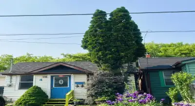 Price: $649,900 / $2,466/mo Amazing location, within walking distance to the Victoria Park Subway St...