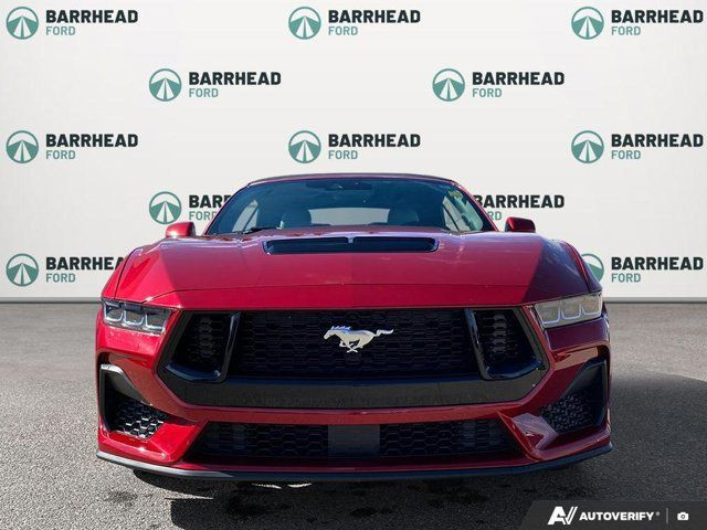 2024 Ford Mustang GT Premium Convertible in Cars & Trucks in Edmonton - Image 2