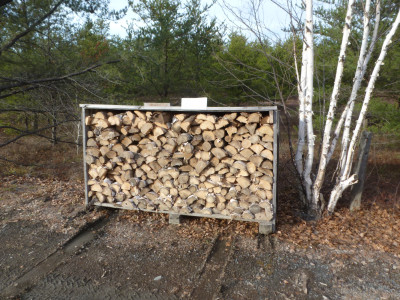 ( Dry Birch  40- Cords )  Seasoned Birch Ready to Burn