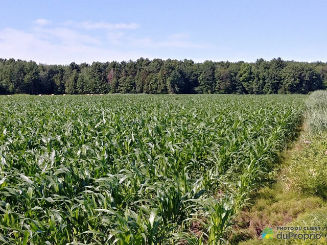725 000$ - Terre agricole à vendre à Yamaska in Land for Sale in Saint-Hyacinthe - Image 2