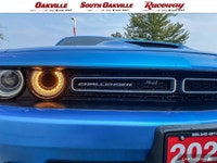 Local Trade, GPS, Navi, Navigation, Heated / Cooled Seats, Leather Interior, Moonroof / Sunroof, And... (image 8)