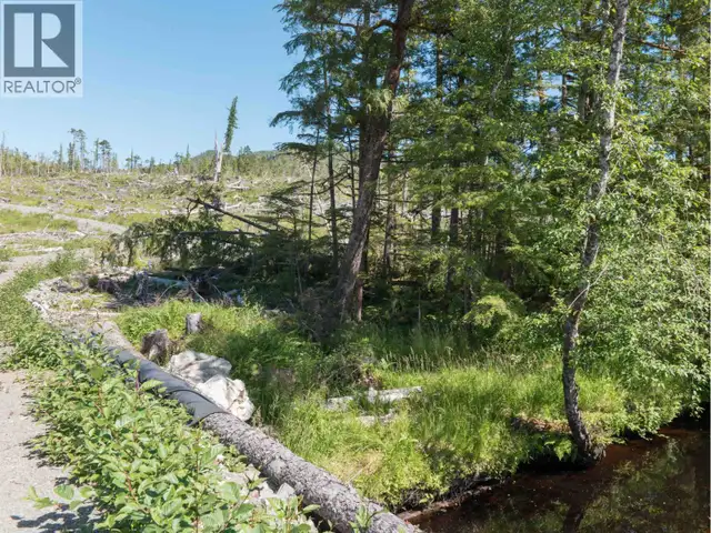 DL 1669 PORCHER ISLAND Prince Rupert, British Columbia in Land for Sale in Kamloops - Image 13