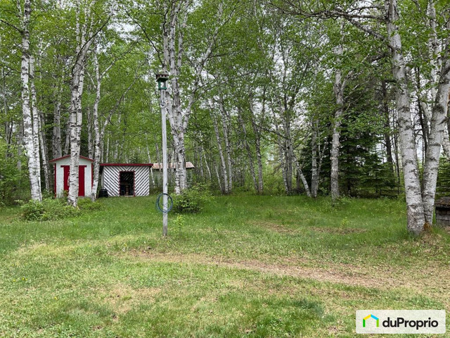 279 500$ - Domaine et villa à vendre à Dolbeau-Mistassini dans Maisons à vendre  à Lac-Saint-Jean - Image 4