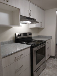 2 Bedroom Apartment for Rent - 1345 Pandora Ave.