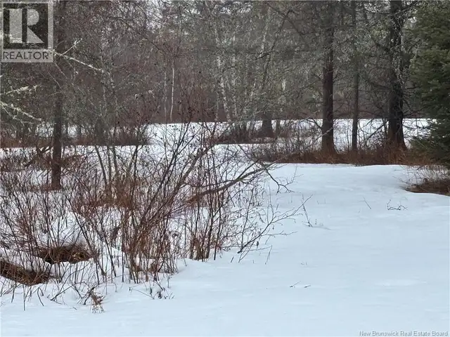 0 Route 127 Bayside, New Brunswick in Land for Sale in Saint John - Image 19