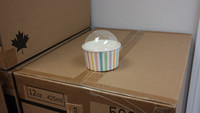 8 oz Ice Cream Box customized