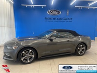 Bluetooth, Rear View Camera, SYNC, Aluminum Wheels, Air Conditioning! Ask us how you can add Extende... (image 7)