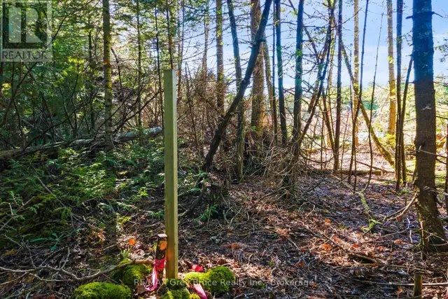 30 HURON PARK ROAD Northern Bruce Peninsula, Ontario in Land for Sale in Owen Sound - Image 32