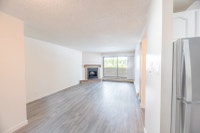Amenities: Quiet Building • Affordable Parking • Fenced Dog Run • Elevators Suite & Building: Bachel... (image 3)