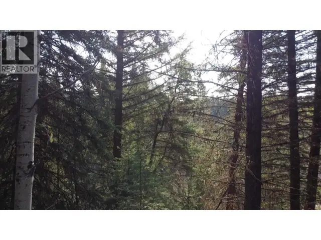 LOT B BRYCE ROAD Forest Grove, British Columbia in Land for Sale in 100 Mile House - Image 14
