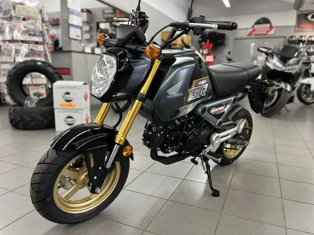 2024 Honda MSX125 Grom in Street, Cruisers & Choppers in Kitchener / Waterloo - Image 8