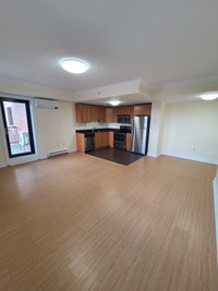 Beautiful 2 Bedroom Downtown Halifax- Steps From QE2 and Dal!