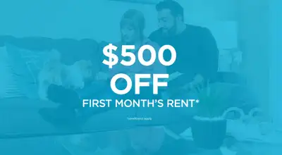 Broadstreet's Vista Pointe offers 1, 2, and 3 bedroom pet friendly apartments for rent, set in the h...