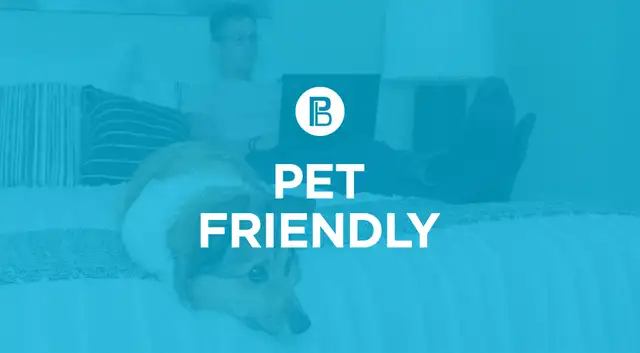 Pet-Friendly Two Bedroom Two Bath with In-suite Laundry for Rent in Long Term Rentals in Vernon - Image 12