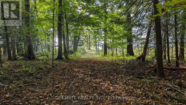 N/A CONCESSION 3 ROAD North Glengarry, Ontario in Land for Sale in Cornwall - Image 5