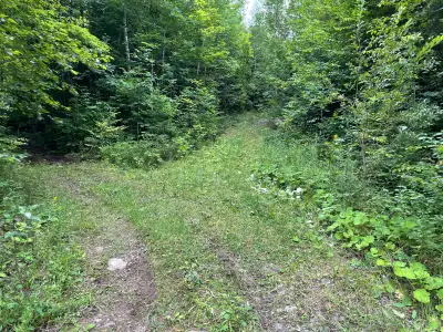 Beautiful 2 Acres-Haliburton Seller Financing $490/mth, View more