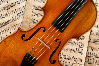 Violin and Fiddle Lessons, View more