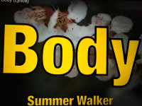 body walker