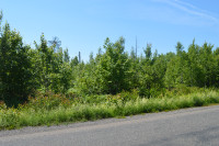 Lot 1 Middlesex RD, Colpitts Settlement 7.68 Acres $59,900