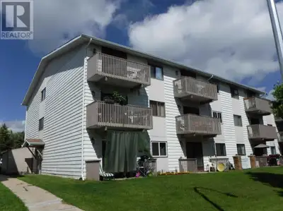 Looking for a home in this market with quick possession? This newly renovated 2 bedroom Condo might...