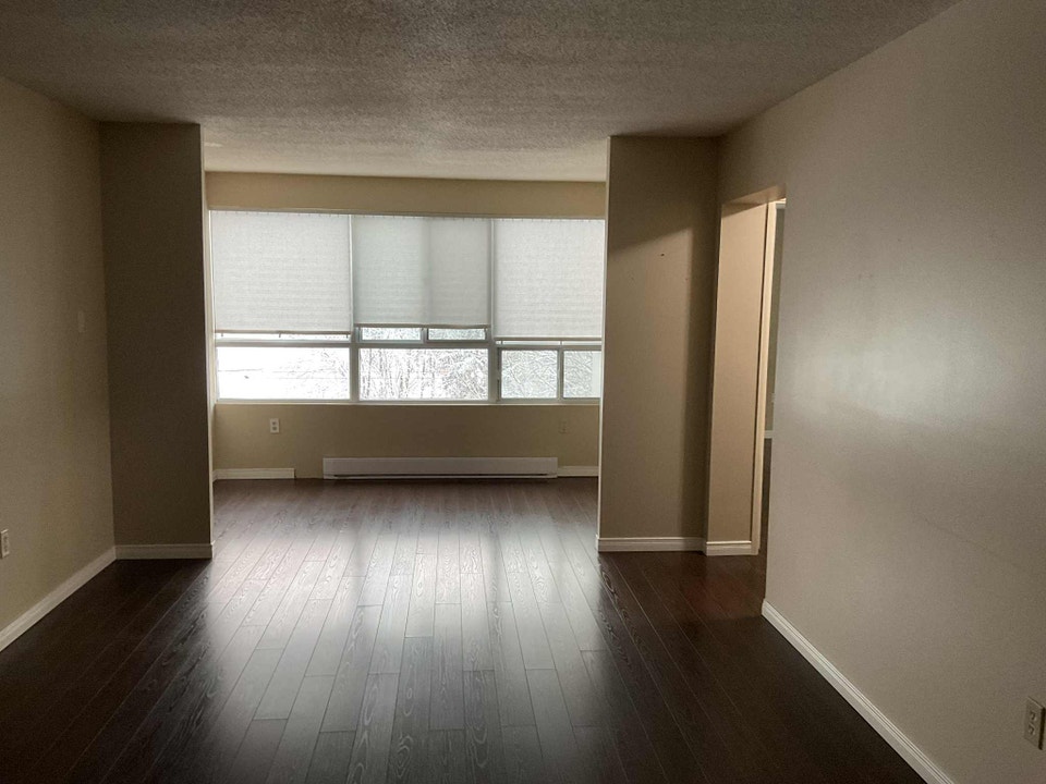 SPACIOUS ONE BEDROOM IN NORTH LONDON HIGHRISE 5
