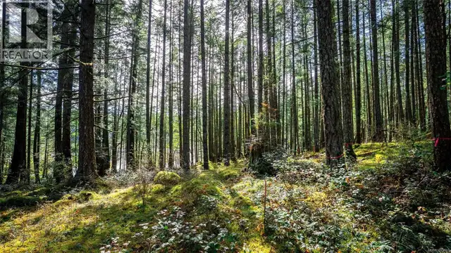 1870 Millstream Rd Highlands, British Columbia in Land for Sale in Victoria - Image 25