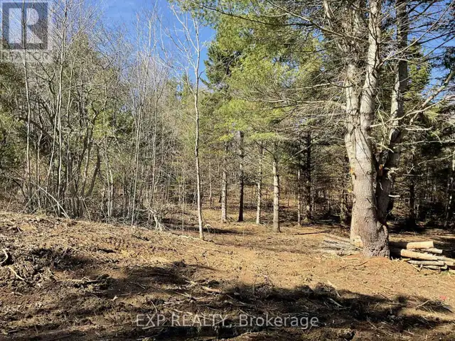 PART LOT 32 AND 33 PART 2 CONC 1 CONCESSION Minden Hills (Snowdo in Land for Sale in Kawartha Lakes - Image 10