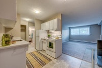 Surrounded by trees in the quiet, residential community of Mayland Heights, Mountainview Apartments... (image 5)