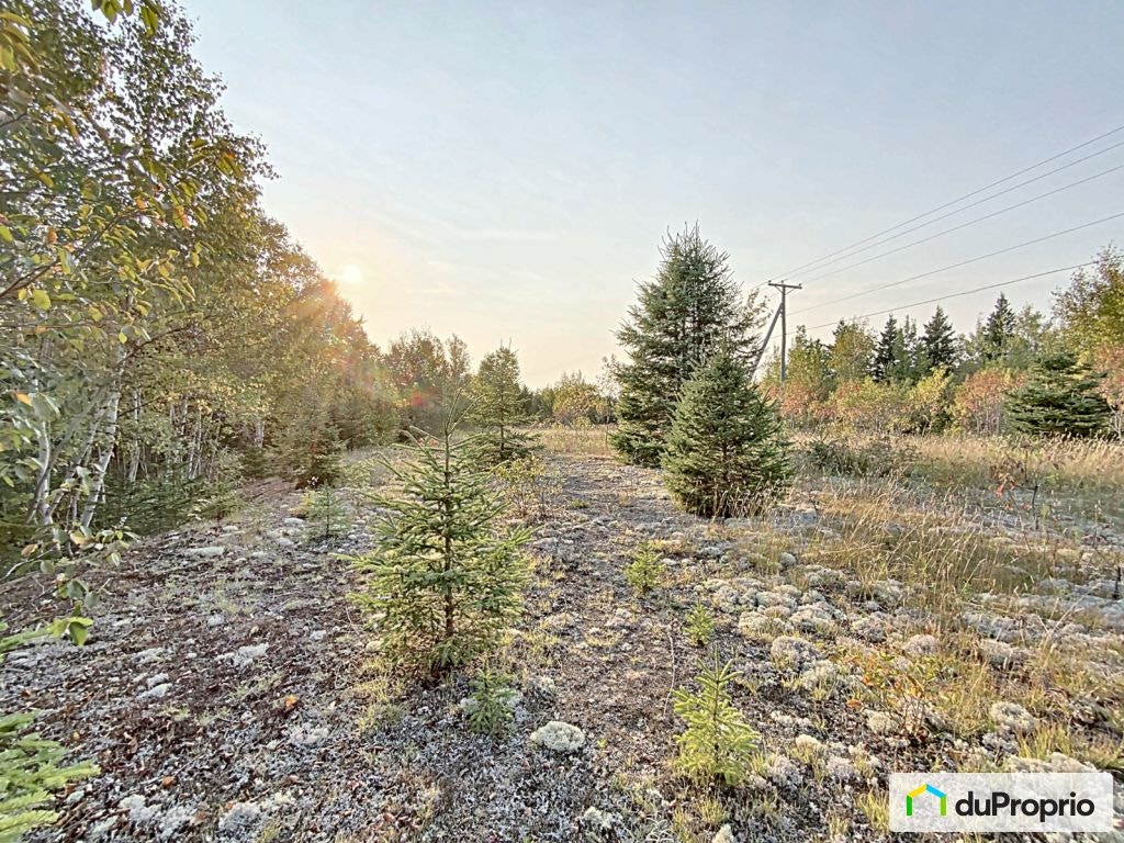 $198,000 - Residential Lot in St-Alexandre-De-Kamouraska — photo 3