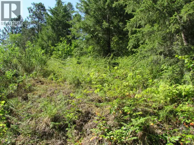1365 Forest Road Castlegar, British Columbia in Land for Sale in Nelson - Image 16