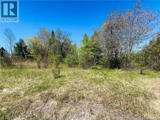 2720 Hwy 420 Matthews Settlement, New Brunswick in Land for Sale in Miramichi - Image 5