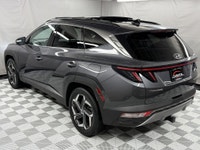 CONSECUTIVE COMSUMER CHOICE AWARD WINNERS! 5 years running, consecutive receivers of the prestigious... (image 5)