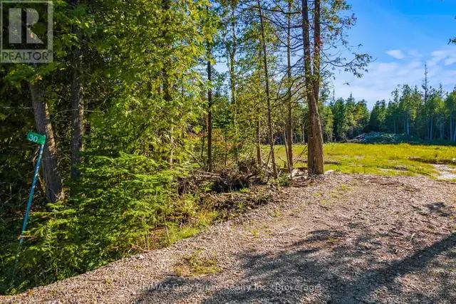 30 HURON PARK ROAD Northern Bruce Peninsula, Ontario in Land for Sale in Owen Sound - Image 12