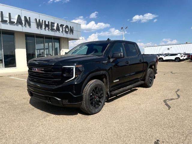 2025 GMC Sierra 1500 Elevation in Cars & Trucks in Edmonton - Image 2