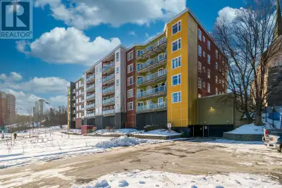 Welcome to this beautifully updated one-bedroom, one bathroom condo offering stunning views of the H...