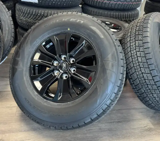 2005–2026 Ford F-150 / Expedition Winter Rim &  Tires in Tires & Rims in Edmonton - Image 9
