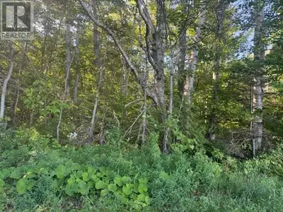WOODLAND Glenwood, 2832 Route 14 - 124 acre mixed wood lot with over 1500 feet of road frontage maki...