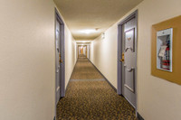 Amenities: Heat & Water Included • Security System • Quiet Buildings Suite & Building: One-, and two... (image 4)
