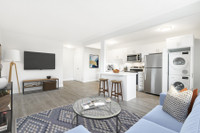 2293 Eglinton Avenue East - 1 Bedroom Apartment for Rent