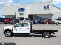 Running Boards, High Capacity Trailer Tow Package, Exterior Back-Up Alarm, Rear View Camera and Prep... (image 4)