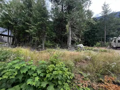 Fully Serviced South Facing Mountain View Building Lot in the Recreational/Residential Community of...