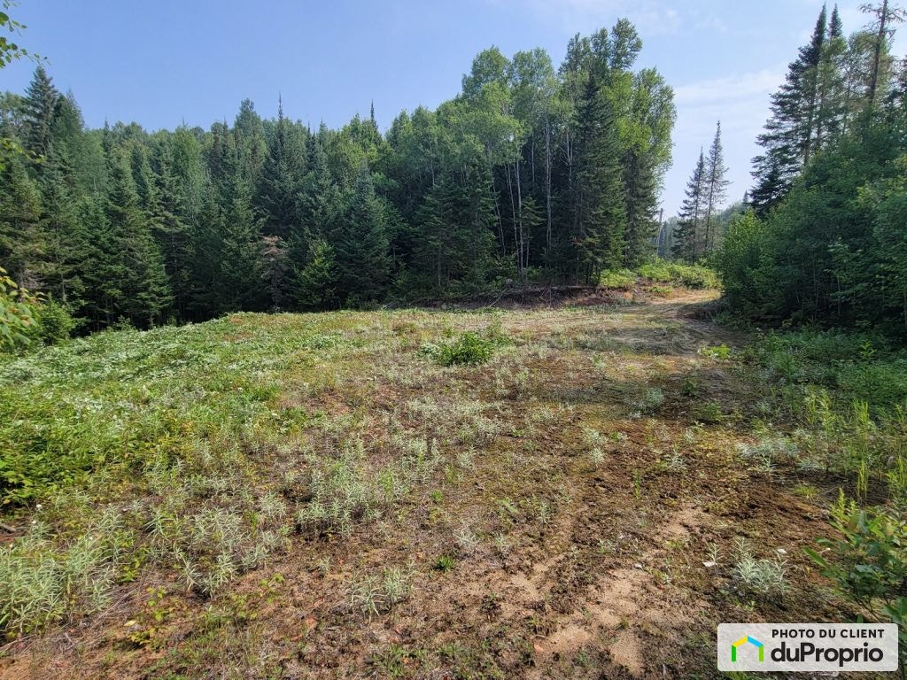 $150,000 - Residential Lot for sale in St-Michel-Des-Saints — photo 3
